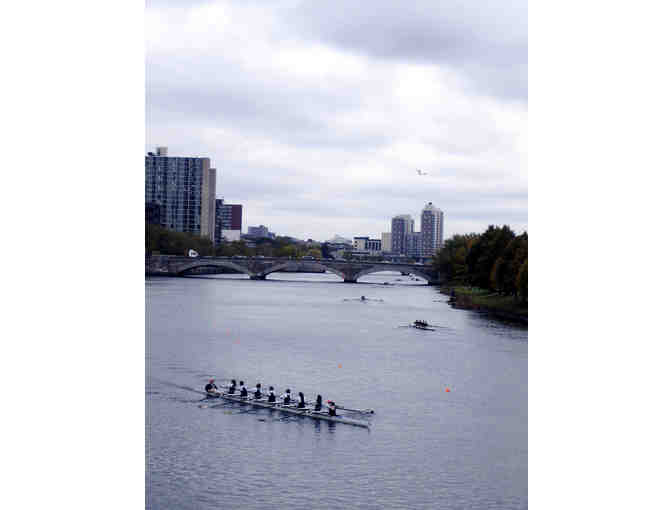 Row On The Charles River and Lunch in Harvard Square with Olympic Medalist Dan Walsh