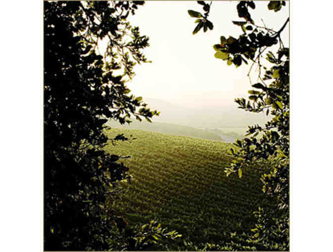 Private Tour and Tasting for up to 4 from Foley Family Wines - Choose any U.S. Location