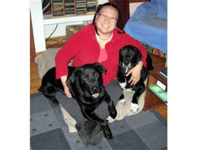 Two Weeks of Dog Walks in the Wakefield, Lynnfield, Reading, Melrose and Stoneham area