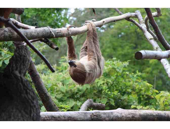 Central Mass Family Fun - Great Wolf Lodge, Ecotarium, and Southwick's Zoo