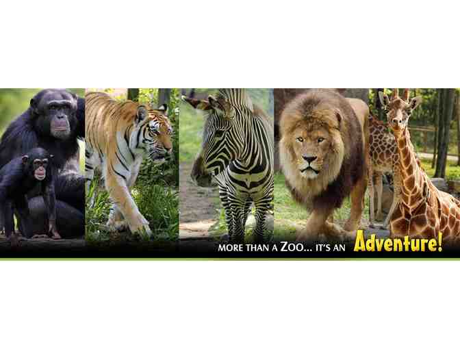 Central Mass Family Fun - Great Wolf Lodge, Ecotarium, and Southwick's Zoo