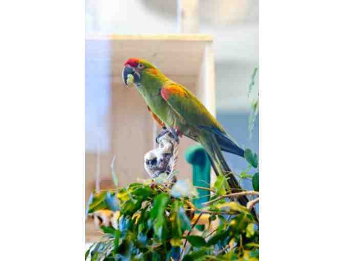 Central Mass Family Fun - Great Wolf Lodge, Ecotarium, and Southwick's Zoo