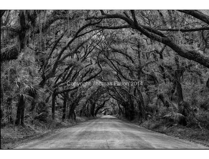 Sea Glass Fine Art Photography Gift Certificate - $495 value