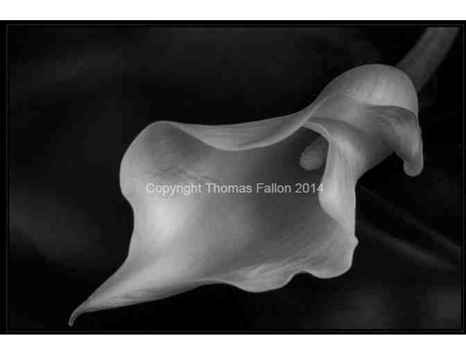 Sea Glass Fine Art Photography Gift Certificate - $495 value