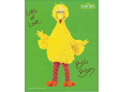 Autographed Photo and Feather from Big Bird