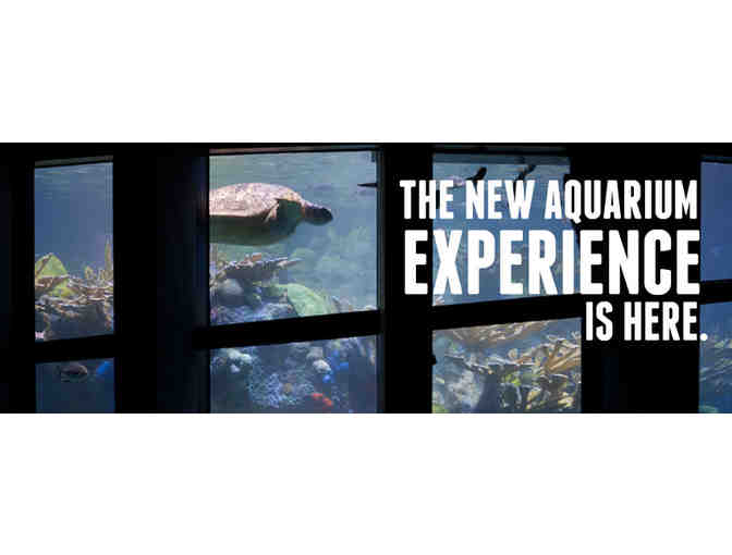 Behind the Scenes Tour for Four and Passes to the New England Aquarium