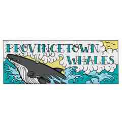Provincetown Whales