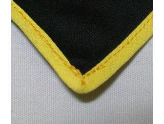 Order of the Arrow Neckerchief #1