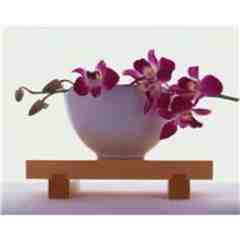 The Waxing Pot...Day Spa