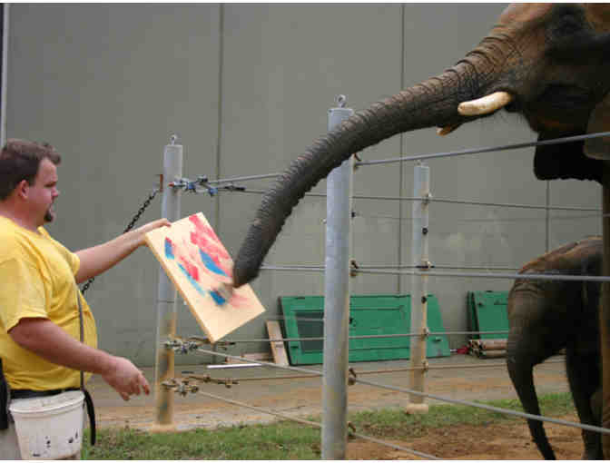 Painting by Montgomery Zoo Elephant