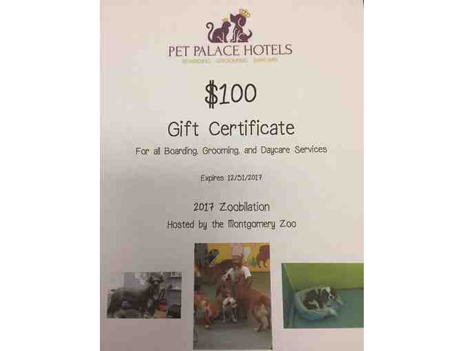 Pet Palace Hotels - $100 Gift Card