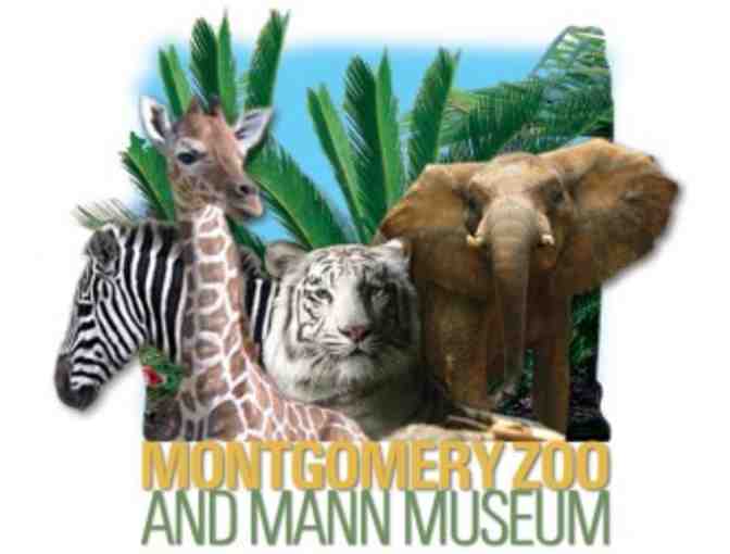 'Tiger Experience' : Behind the Scenes Tour for 4, ages 6+