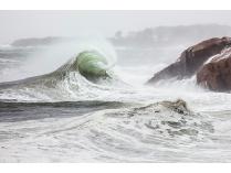 Olivia Parker (trustee)