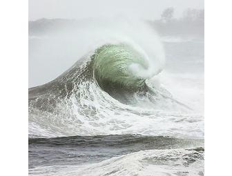 Olivia Parker (trustee)