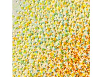 Masako Kamiya (faculty)