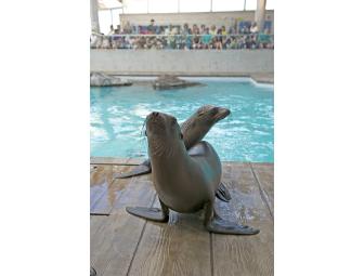 Tour for 4, admission, and IMAX tickets for New England Aquarium