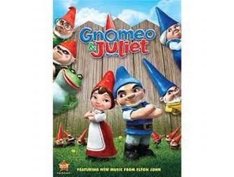 Family Entertainment Package-DVDs and More