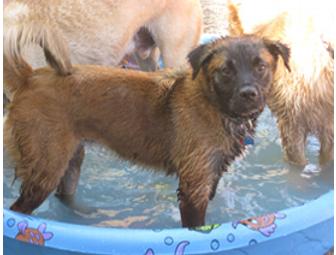 Barkly Manor THREE Nights Boarding