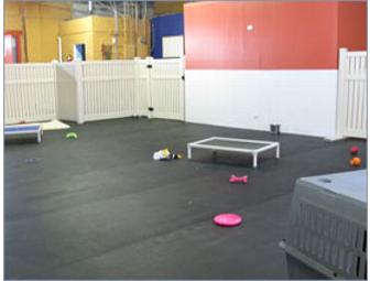 Barkly Manor THREE Nights Boarding