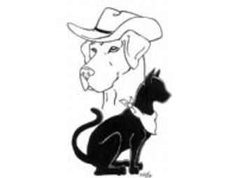 Five Nights of Boarding for ONE CAT at the O'Cat Corral