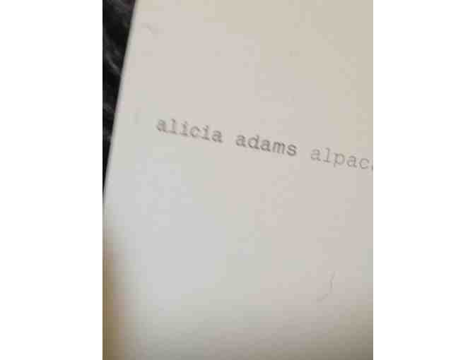 Alicia Adams alpaca signature scarf w/European style thick hot chocolate gift set