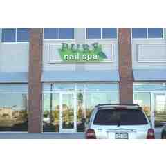 Pure Nail Spa
