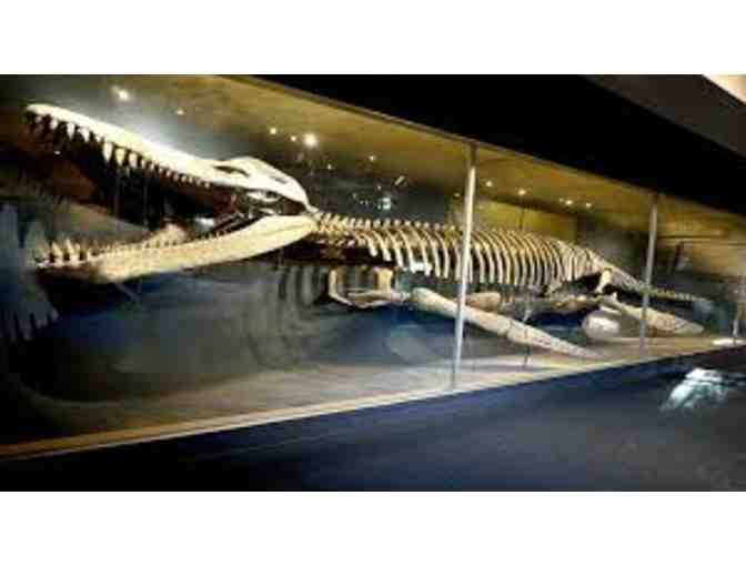 Mad about Science Gift Extravaganza