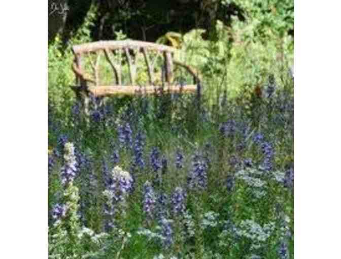 Garden in the Woods - 4 Passes