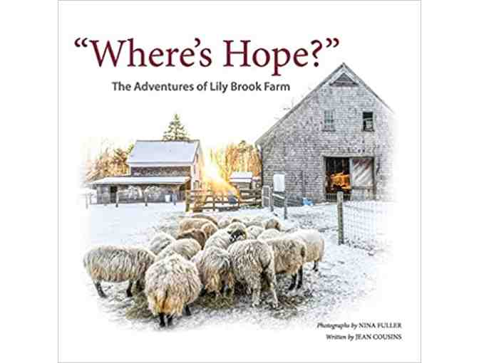 Staycation Storytime - Assortment of 12 Books for Kids