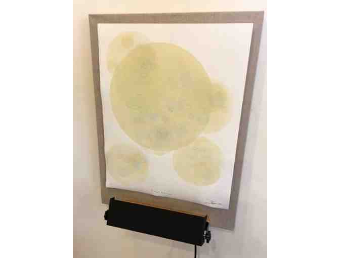 Ted Ollier - Eukaryotic Bioluminescence: 26 Etudes