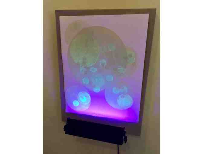 Ted Ollier - Eukaryotic Bioluminescence: 26 Etudes