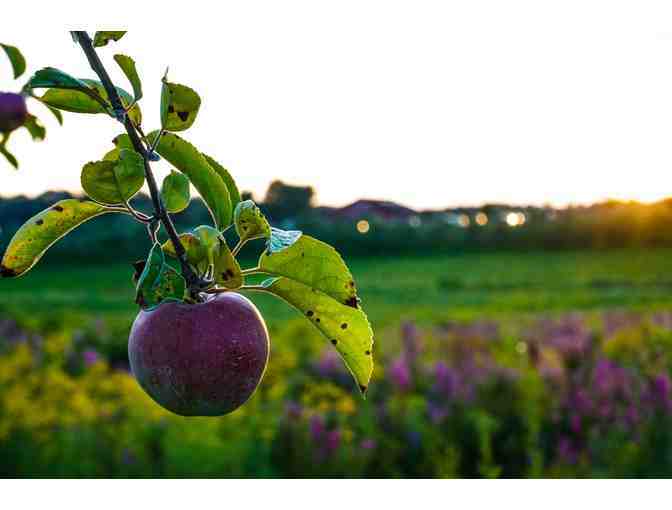 $100 Gift Certificate to the Brooklyn Cider House's Orchard in New Paltz, NY - Photo 1