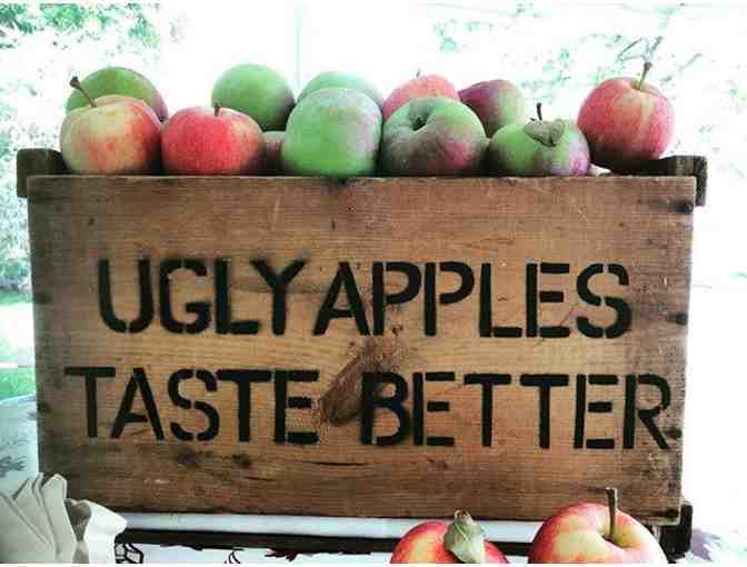 $100 Gift Certificate to the Brooklyn Cider House's Orchard in New Paltz, NY