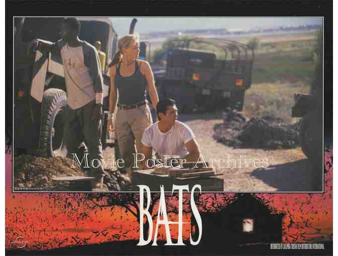BATS, 1999 11x14 LC set, Lou Diamond Phillips, Dina Meyer, Bob Gunton