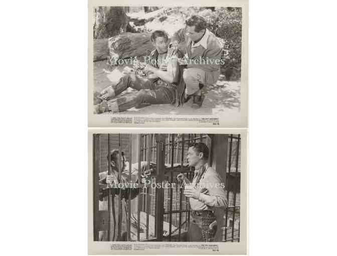 GAY RANCHERO, 1948, 8x10 production stills, Roy Rogers, Andy Devine, Bob Nolan, Trigger