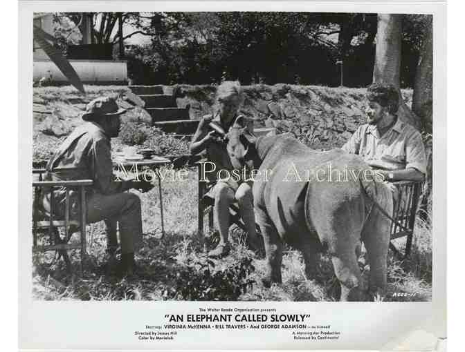 ELEPHANT CALLED SLOWLY, 1969 8x10 still set, Virginia McKenna, Bill Travers.
