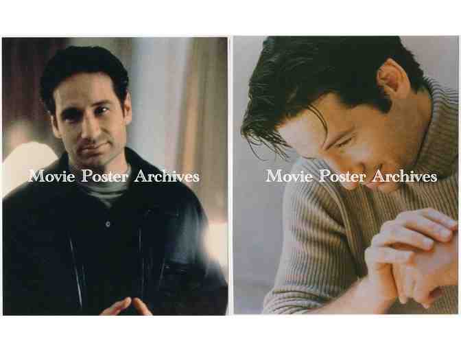 DAVID DUCHOVNY, group of color and B/W classic celebrity portraits and photos