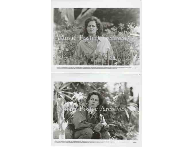 GORILLAS IN THE MIST, 1988, movie stills, Sigourney Weaver, Bryan Brown