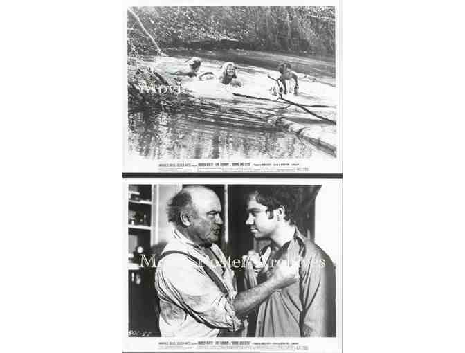 BONNIE AND CLYDE, 1967, movie stills, Warren Beatty, Fay Dunaway