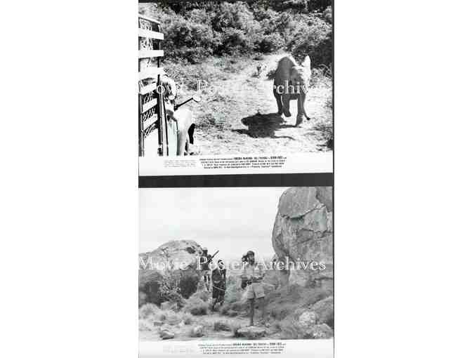 BORN FREE, 1966, movie stills, Virginia McKenna, Bill Travers