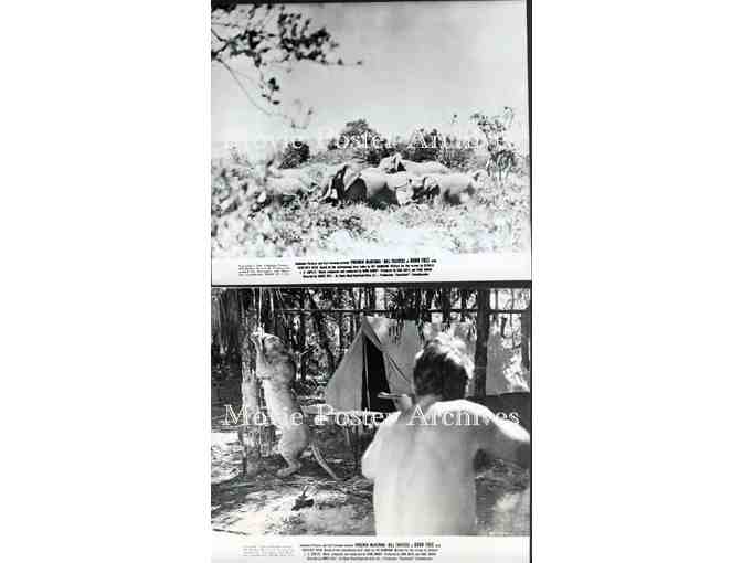 BORN FREE, 1966, movie stills, Virginia McKenna, Bill Travers