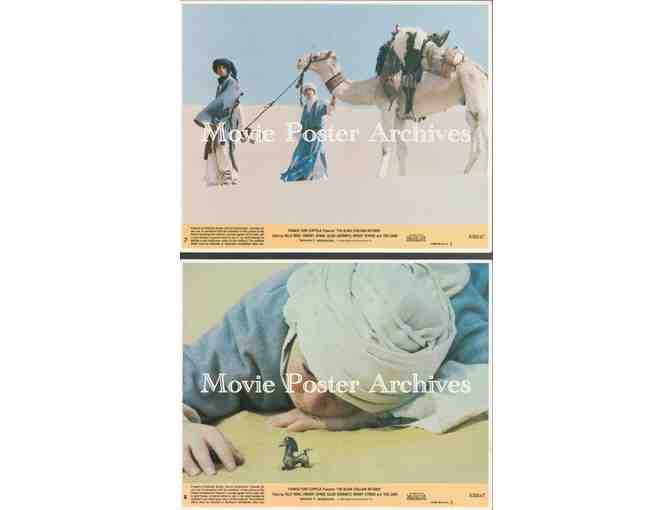 BLACK STALLION RETURNS, 1983, mini lobby cards, Kelly Reno, Teri Garr, Hoyt Axton