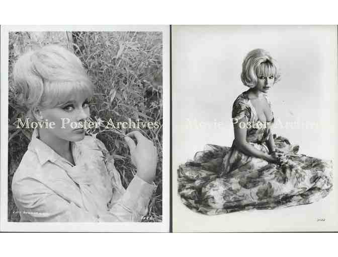 ELKE SOMMER, group of classic celebrity portraits, stills or photos