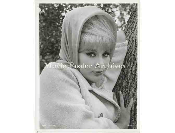 ELKE SOMMER, group of classic celebrity portraits, stills or photos