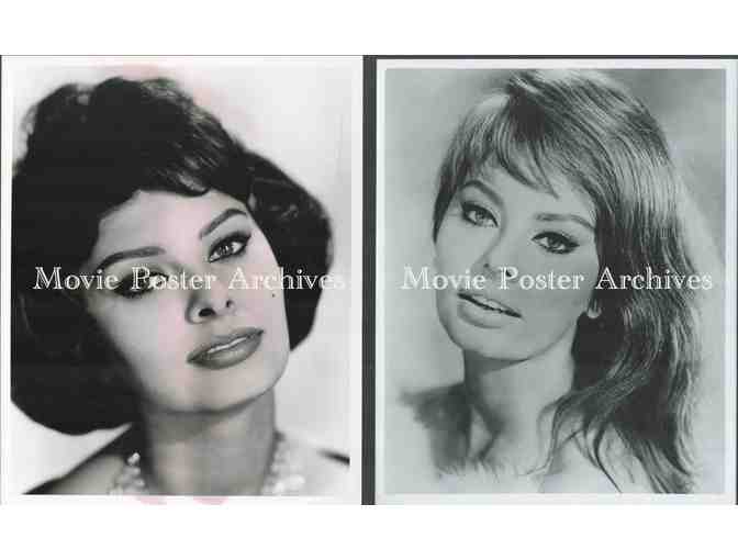 SOPHIA LOREN, group of classic celebrity portraits, stills or photos
