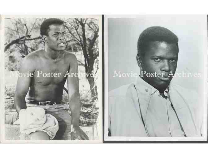 SIDNEY POITIER, group of classic celebrity portraits, stills or photos