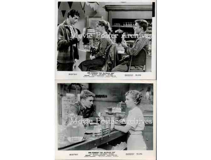 WAYWARD BUS, 1957, movie stills, Jayne Mansfield, Joan Collins, Dan Dailey