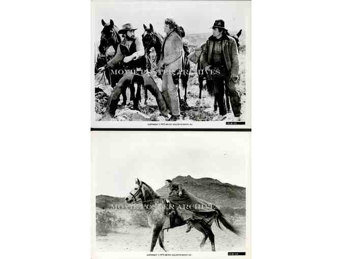 MAN WHO LOVED CAT DANCING, 1973, Burt Reynolds, Sarah Miles