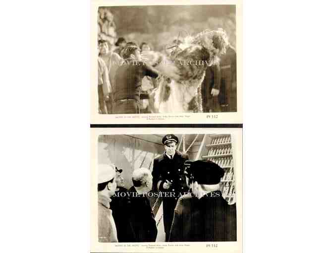 MUTINY IN THE ARTIC, 1941, movie stills, Richard Arlen, Andy Devine