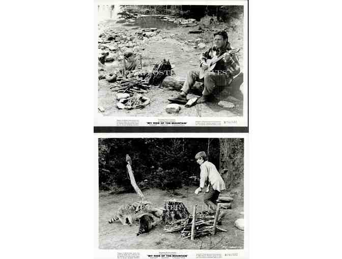 MY SIDE OF THE MOUNTAIN, 1969, movie stills, Theodore Bikel